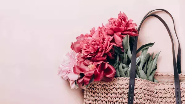 Tipos e Modelos de Bolsas